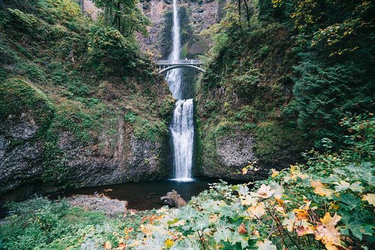 Tour image 1