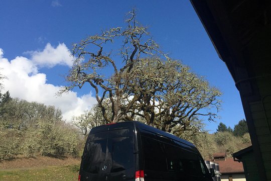 Tour image 3