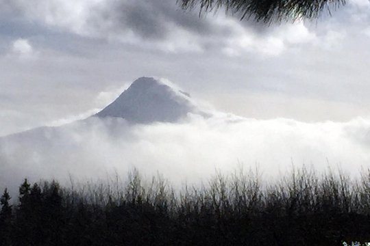 Tour image 10