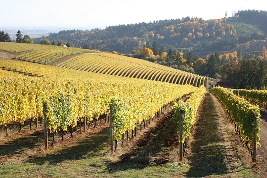 Tour image 6