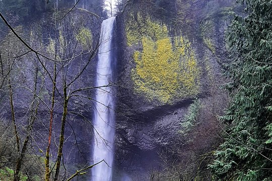Tour image 12